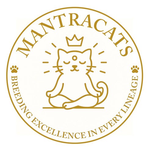 Mantra Cats Cattery logo British Shorthair breeder Houston Texas